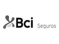 BCI_1x