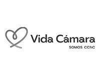 Vida-Camara
